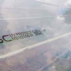 Logo kèm 1 vài chính năng chính được in trên màng VSC