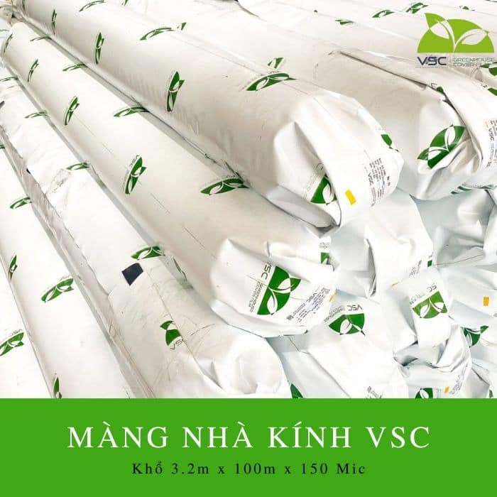 mang nha kinh vsc kho 32