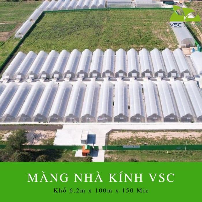 mang nha kinh vsc kho 62