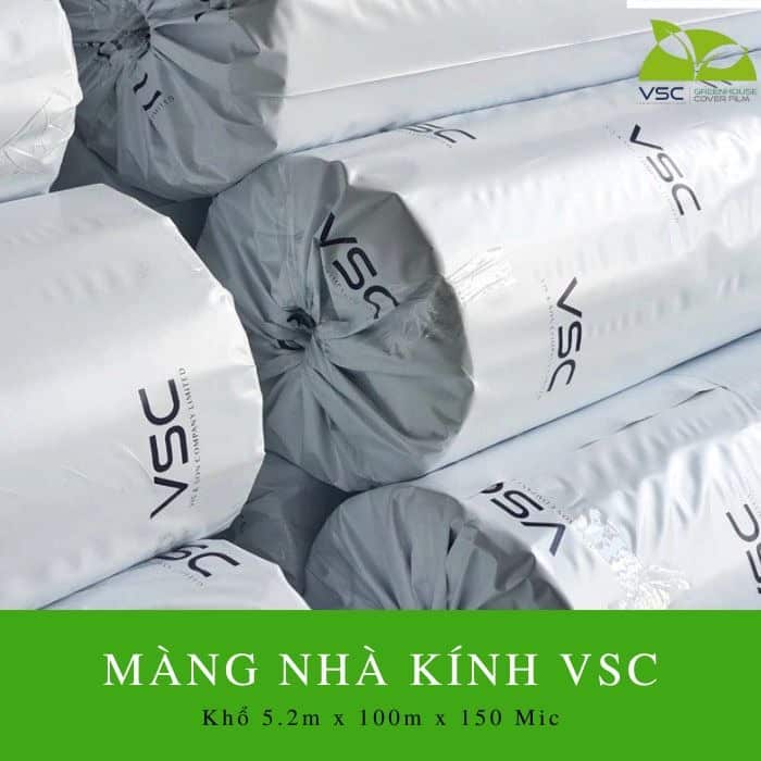 Màng nhà kính VSC