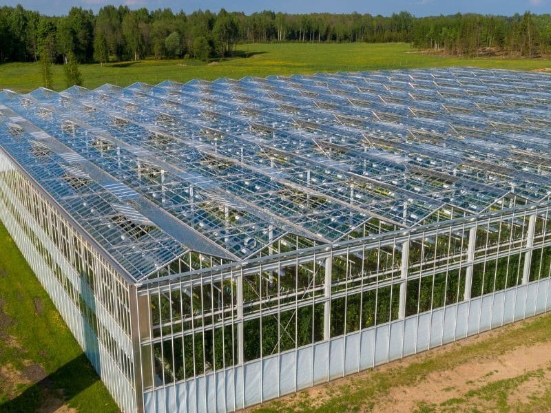 Nhà kính kín: Có đáng để đầu tư? 3 Nhà kính kín giúp tránh thất thoát CO2