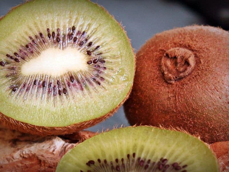 Trồng cây trong nhà kính 101: Kiwi 6 trong kiwi trong nha kinh 3