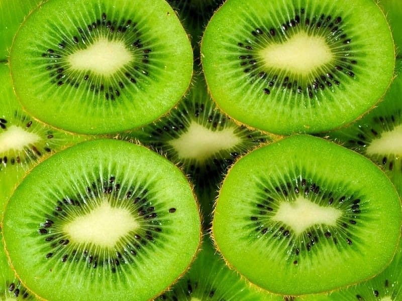 Trồng cây trong nhà kính 101: Kiwi 5 trồng kiwi trong nhà kính