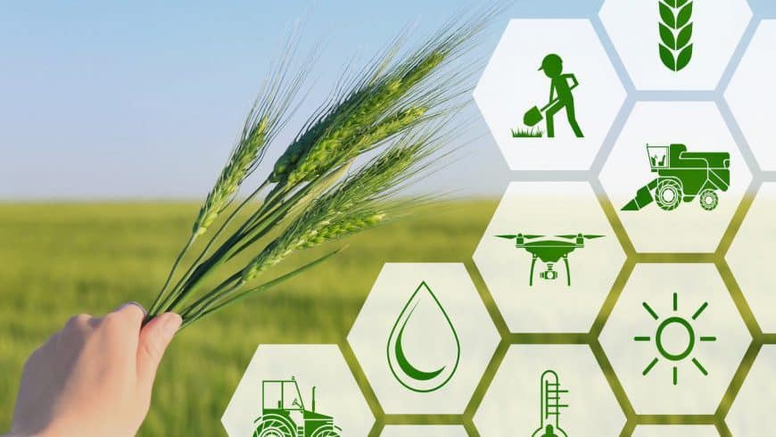 Nông nghiệp sạch là gì và lợi ích của sản xuất nông nghiệp sạch? 1 nông nghiệp sạch