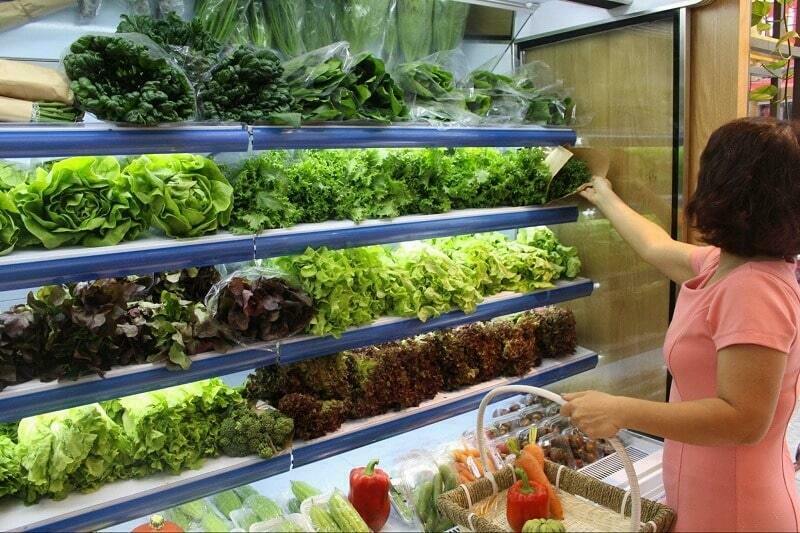 Rau Organic Là Gì? Cách Nhận Biết Rau Organic Và Rau Sạch 1 rau-sach-organic-la-gi