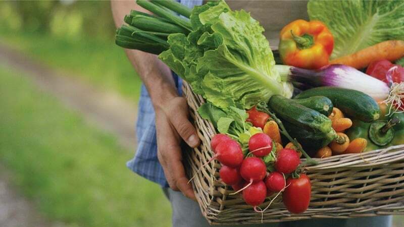 Rau Organic Là Gì? Cách Nhận Biết Rau Organic Và Rau Sạch 6 Vì sao đắt hơn rau thông thường