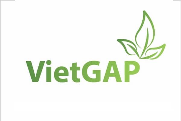 Nông nghiệp sạch là gì và lợi ích của sản xuất nông nghiệp sạch? 3 nông nghiệp sạch