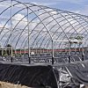 Bạt chống thấm HDPE 1mm