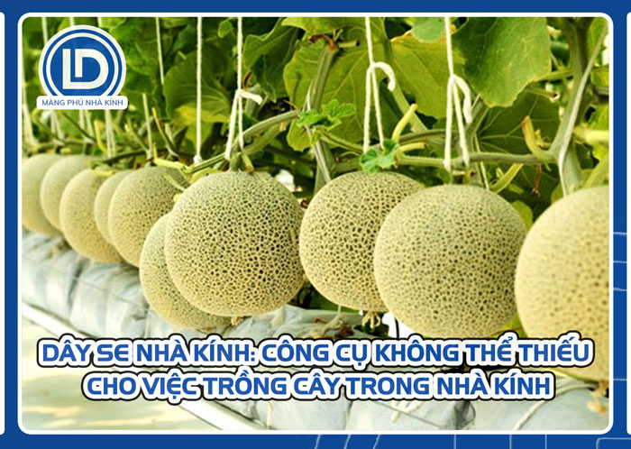 Dây se nhà kính: Công cụ không thể thiếu cho việc trồng cây trong nhà kính