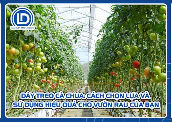 Dây treo cà chua: Cách chọn lựa và sử dụng hiệu quả cho vườn rau của bạn