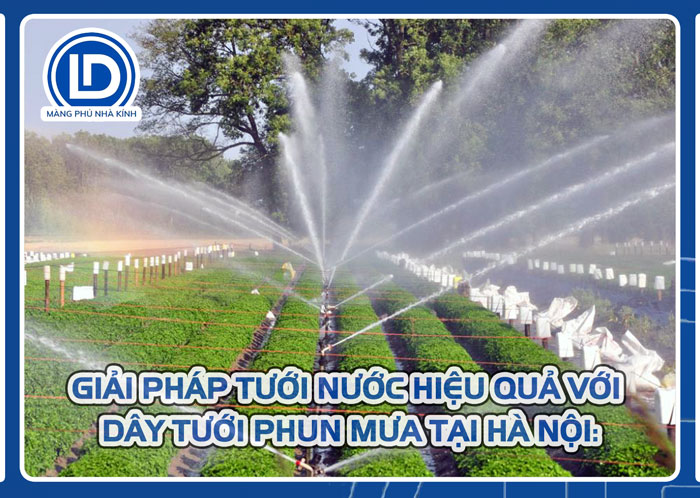 Giải pháp tưới nước hiệu quả với dây tưới phun mưa tại Hà Nội