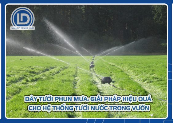 Dây tưới phun mưa trên cỏ