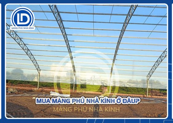 Mua màng nhà kính ở đâu?