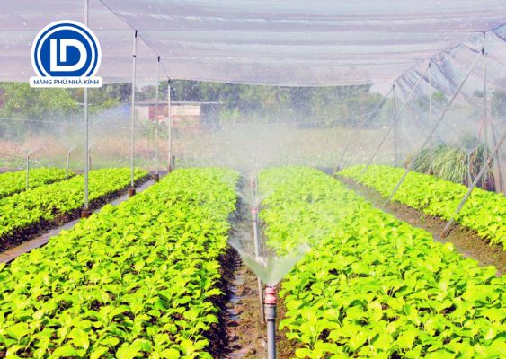 Hạn Chế Của Trồng Trọt Công Nghệ Cao