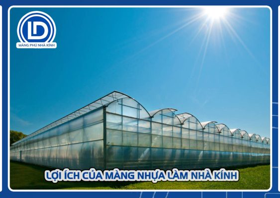 Lợi ích khi sử dụng màng nhựa làm nhà kính