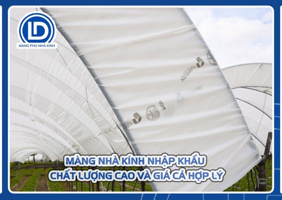 Màng Nhà Kính Nhập Khẩu: Chất Lượng Cao và Giá Cả Hợp Lý