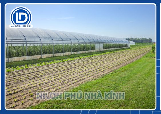 nilon phủ nhà kính trong nông nghiệp