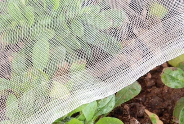 Lưới chắn công trùng nông nghiệp 40mesh