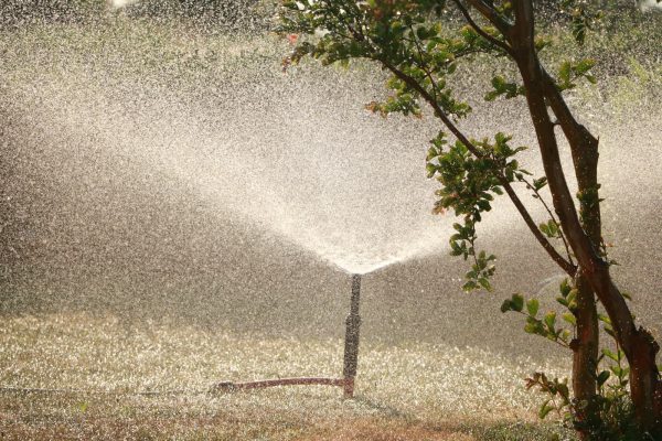 Hệ thống tưới tự động công viên