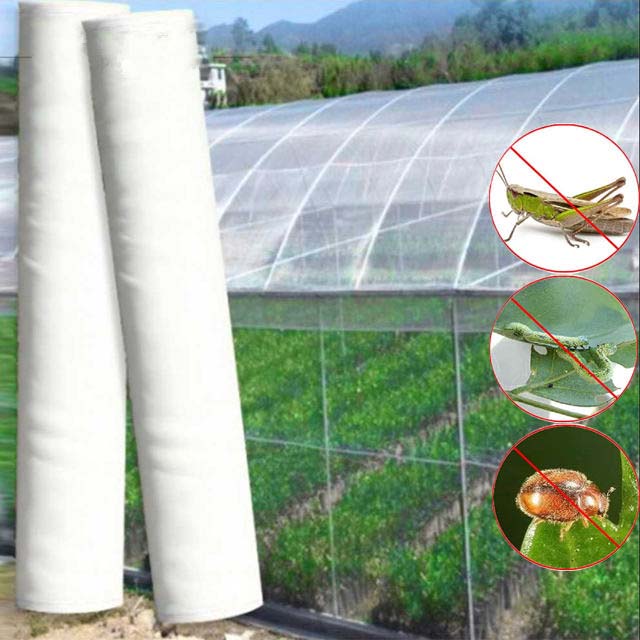 Lưới mùng nông nghiệp bảo cây khỏi côn trùng gây hại