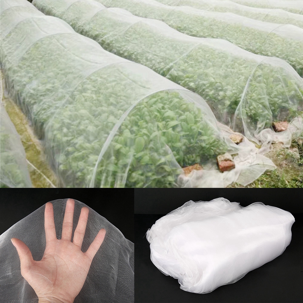 Lưới mùng nông nghiệp cần đươc lựa chọn cẩn thận