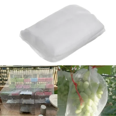 Trồng rau sạch tại nhà ới lưới chắn côn trùng