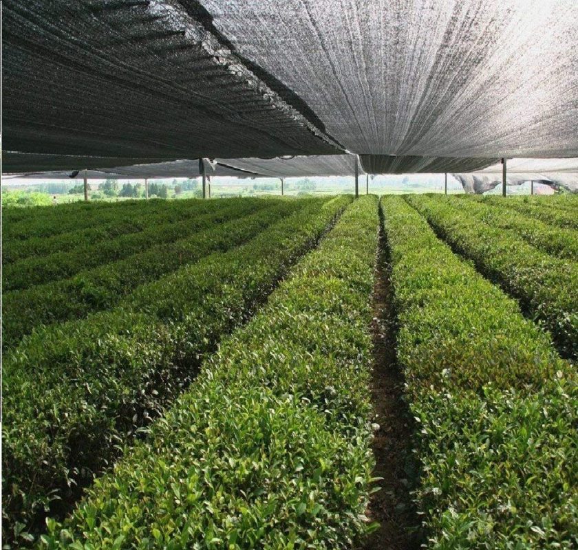 Lưới nông nghiệp che nắng màu đen 75%