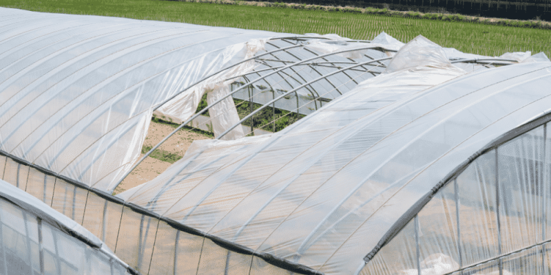 Đánh giá thiệt hại trước khi sửa chữa nhà kình
