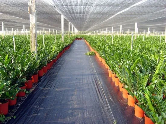 Lưới đen che nắng, che công trình, che nhà kính, nông nghiệp