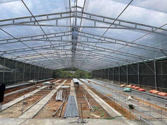 Chi phí làm nhà kính 1000m2 phụ thuộc khá nhiều vào chất liệu