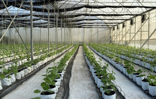 Nhà màng nhà kính tại Phú Yên và Bình Thuận khu công nghệ cao