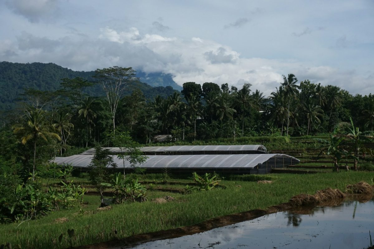 Màng Phủ Nhà Kính