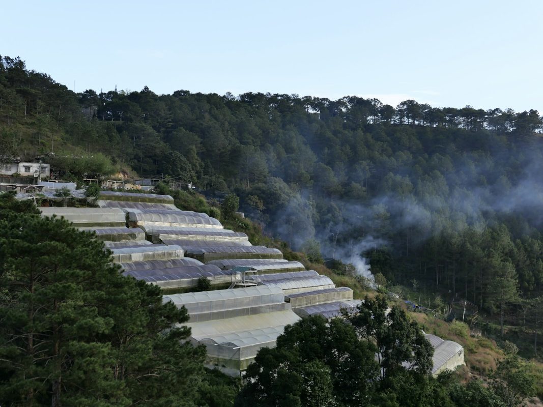 Màng Phủ Nhà Kính