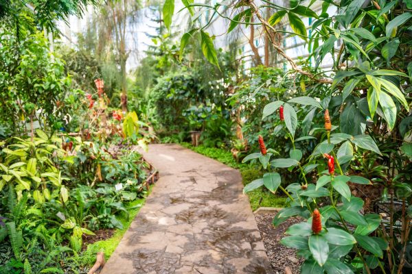 Nhà kính cho resort, khu du lịch sinh thái