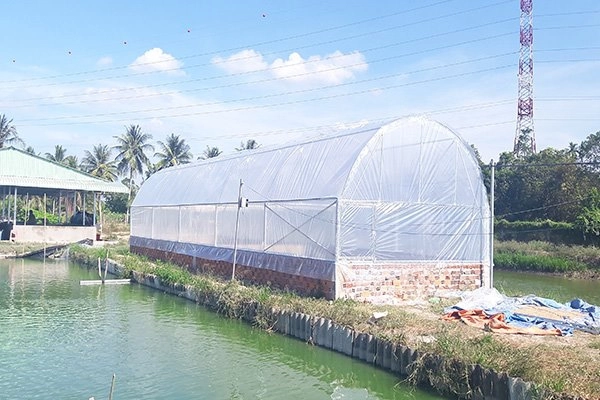 Sai lầm cần tránh khi thi công màng nhà kính