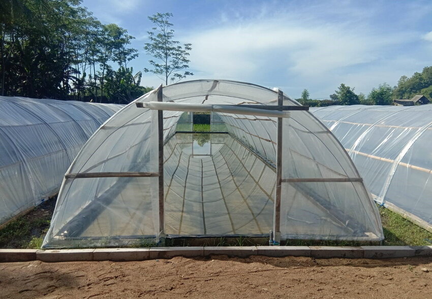 Giải pháp vật tư nhà kính cho vùng xâm nhập mặn: bền bỉ và hiệu quả 1 Thiết kế của nhà màng (nhà kính) dạng đường hầm chống xâm nhập mặn