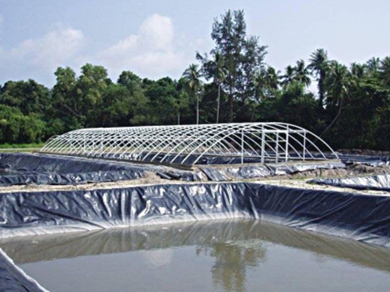 Bạt chống thấm HDPE 1mm 14 Bạt lót hồ hdpe