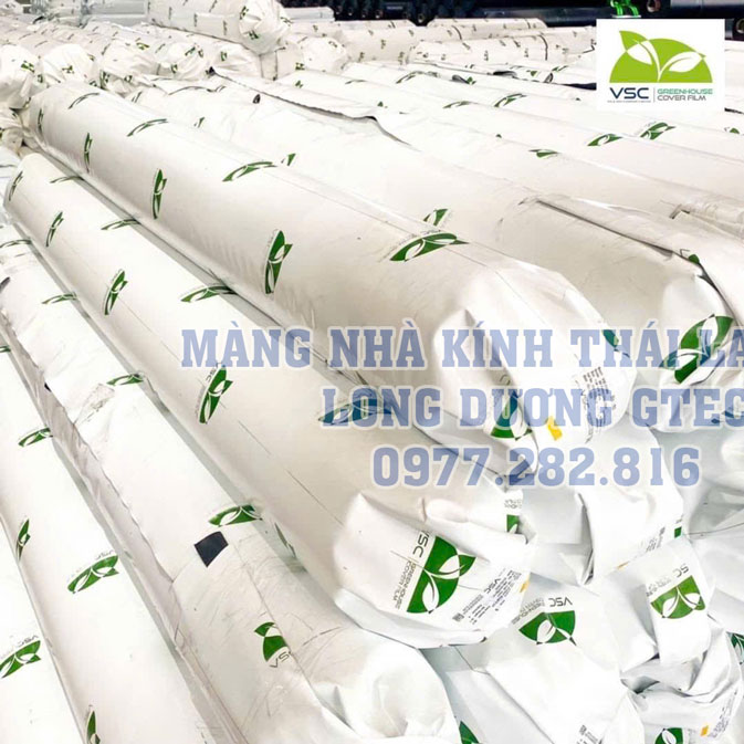 Màng nhà kính VSC Thailand khi vừa chuyển từ xe cointainer