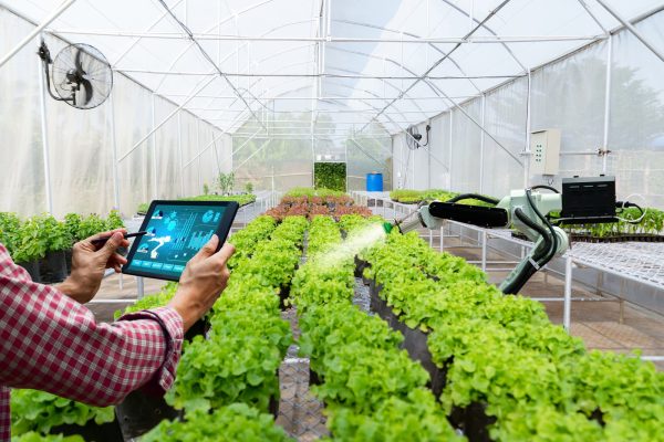 Nhà kính nông nghiệp với nhiều công nghệ AI và IoT tích hợp