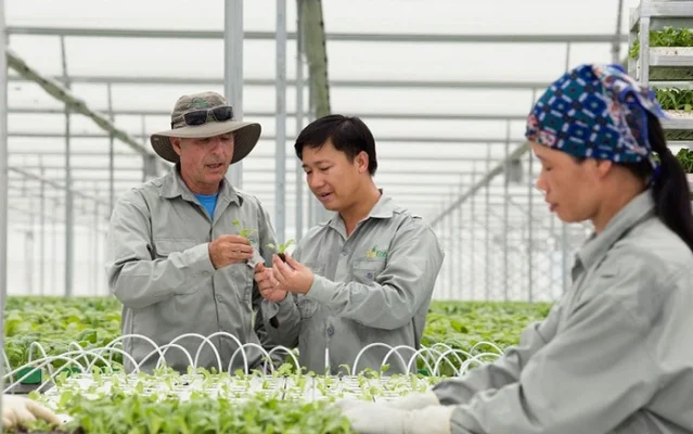 Nông dân được doanh nghiệp hỗ trợ sản xuất nông sản an toàn