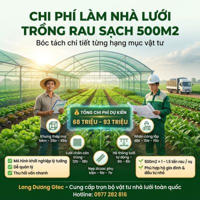 Chi phí làm nhà lưới trồng rau sạch 500m2